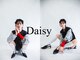 デイジー(Daisy)の写真