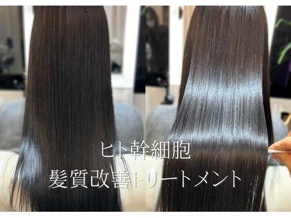 ダリア 横浜(DALIA)の写真