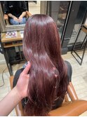 ピンクラベンダー