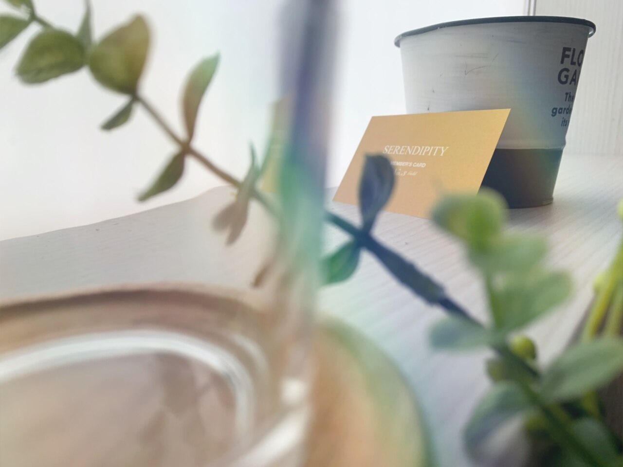 セレンディピティ(SERENDIPITY)|ホットペッパービューティー