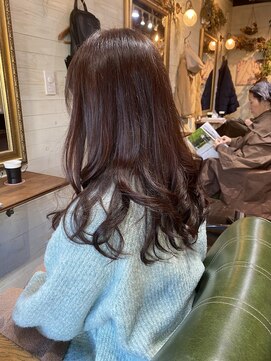 アンズガーデン(Ann's Garden) 艶色イルミナカラーアンバー