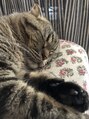 カラン(Calin) うちのリズです♪