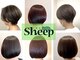 シープ(Sheep)の写真