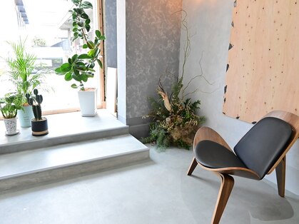 グリージョ(grigio)の写真