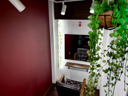 ビューティースプレッド(Beauty SPREAD)の写真