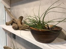 自然を意識したインテリア