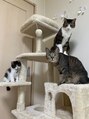 ギンザカミノア 東口店 高崎(GINZA CAMINOIA) ねこ3匹飼ってます!