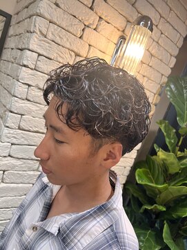 スティーロ 渋谷(Steelo) ラルフカール