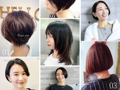 ハロー(HELLO)の写真