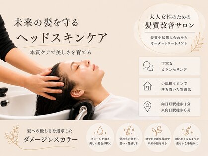 ロエ(loe)の写真