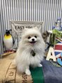スペイディック 大阪梅田店(SPADIC) 愛媛出身で大阪に出てきて愛犬と一緒に暮らしてます^^