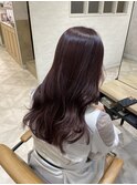 ピンクラベンダー
