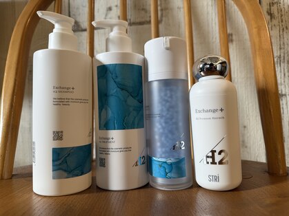 ノマ(Noma）の写真