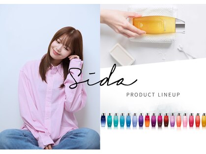 シダ(sida)の写真