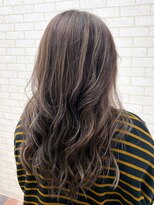 ルピナス(Lupinus)&nbsp;バレイヤージュ