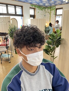 ティンカーベル(TINK‐A‐BELL) プードルパーマ