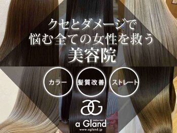 a Gland tetra 野田阪神店【アグランテトラ】