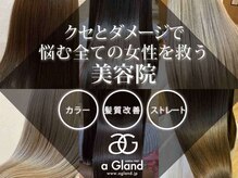 アグランテトラ 野田阪神店(a Gland tetra)