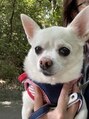 ウブ(ubu)&nbsp;お家で犬も飼ってます！