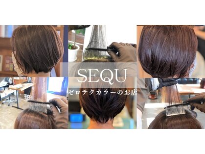 シーク(SEQU)の写真