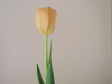 ハク(haku)の雰囲気（季節の気配を感じる空間。）