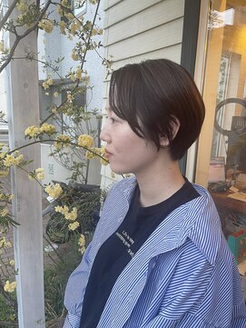 チョコレート(chocolate) ショートヘア