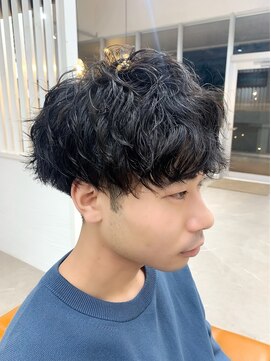 ピグメント(pigment) ソフトツイスパマッシュ