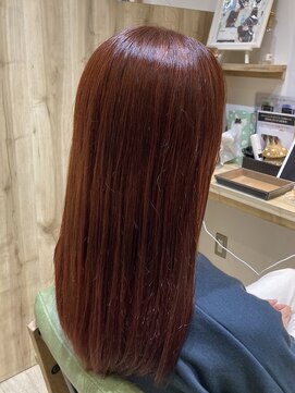 カミケンネクスト(kamiken.next) チェリーレッドカラー【カミケンネクスト】