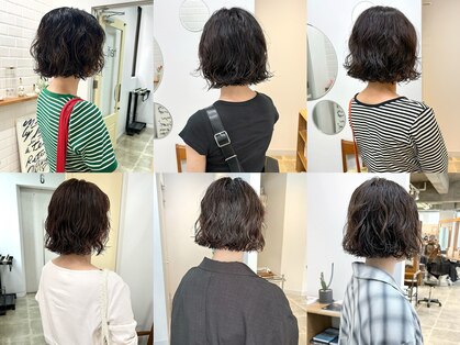 ハイフ(haif)の写真