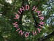 ウィンドヘア(WIND HAIR)の写真