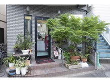 イングリッドの雰囲気（亀有駅・綾瀬駅から徒歩圏内◎たくさんの緑が目印です♪）