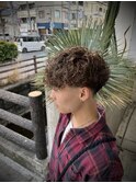 Spain Poodle×Highlight