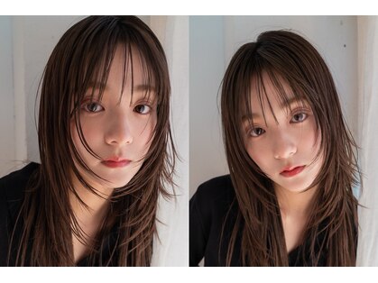 エル(EL by green)の写真