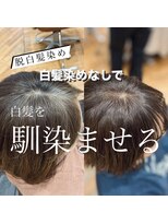 40代50代/白髪ぼかし/白髪染め/銀座/レイヤー/野川