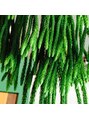フラップヘアー(FLAP HAIR)&nbsp;珍奇植物が好きです。