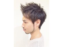 ザシラ(THE SIRA)