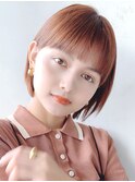 ナチュラルヘア_ミニウルフテラコッタくすみブルー_8629