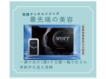 ボイス(Voice)の雰囲気（最先端の美容テクノロジー。座るだけで体内水分コントロール）