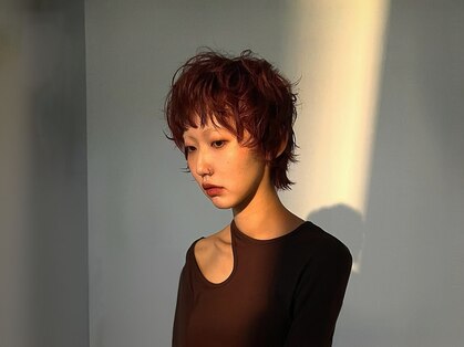 マトウ(MATOH)の写真