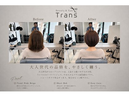 トランス(Trans)の写真