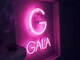 ガラ(GALA)の写真