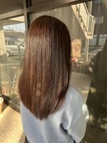 ネリネ(Nerine)&nbsp;オリーブ