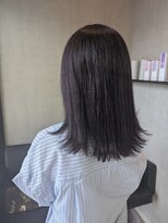 トリコ(ToricO)&nbsp;ダークパープルカラー