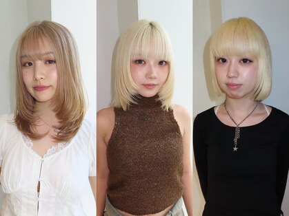 ホヌ(HONU)の写真