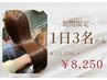 【平日1日３名限定特別クーポン】カット＋カラー＋aujuaプチTr￥13200→￥825