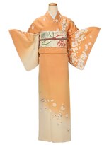 アンベリール(embellir)&nbsp;正絹訪問着204　￥22,000