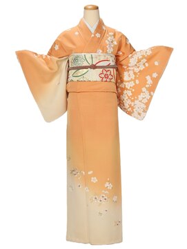 アンベリール(embellir) 正絹訪問着204 ¥22,000