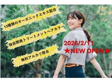ビーハーブプラス 東中野ギンザ通り店(bherb+)