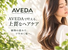 ルシエル バイ カトレアグループ(Le Ciel)の雰囲気（AVEDAファミリーサロン。AVEDA商品の施術で魅力を味わえます）