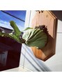 ブラッシュ(brush)&nbsp;植物大好きです私物も店内に飾ってあります見に来てください！